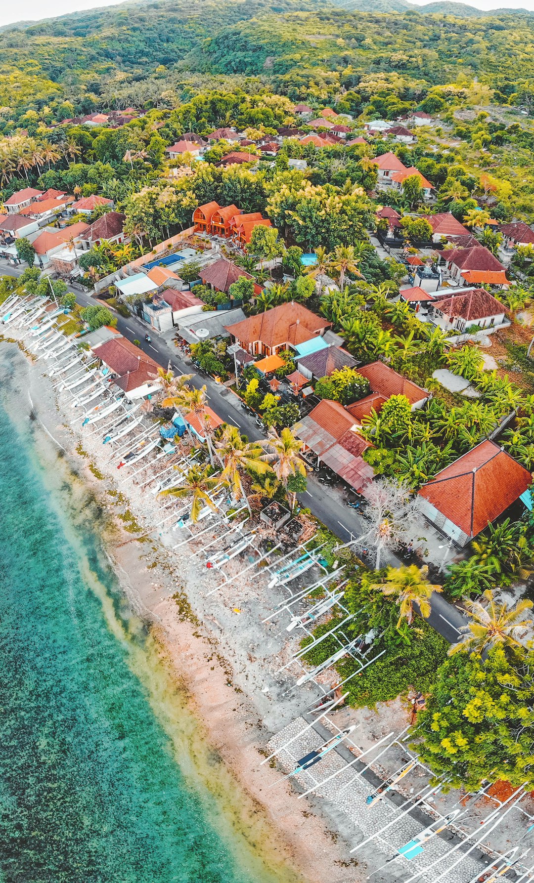 aerial photography of buildings and trees beside sea