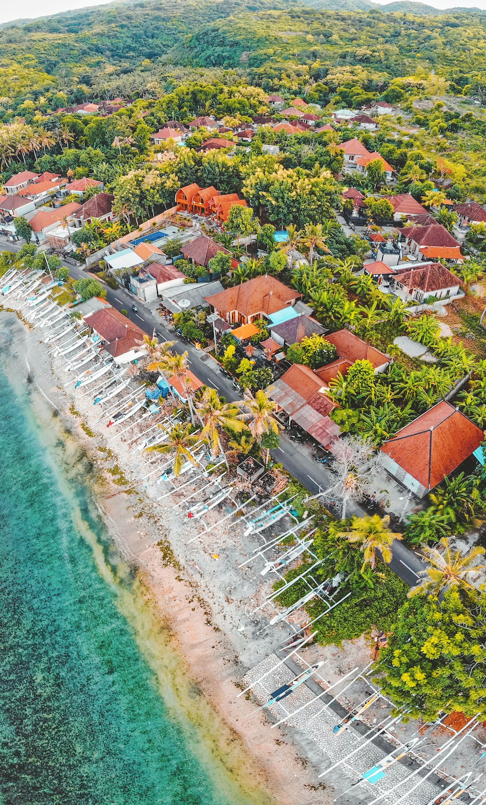 Fotografía aérea de edificios y árboles junto al mar