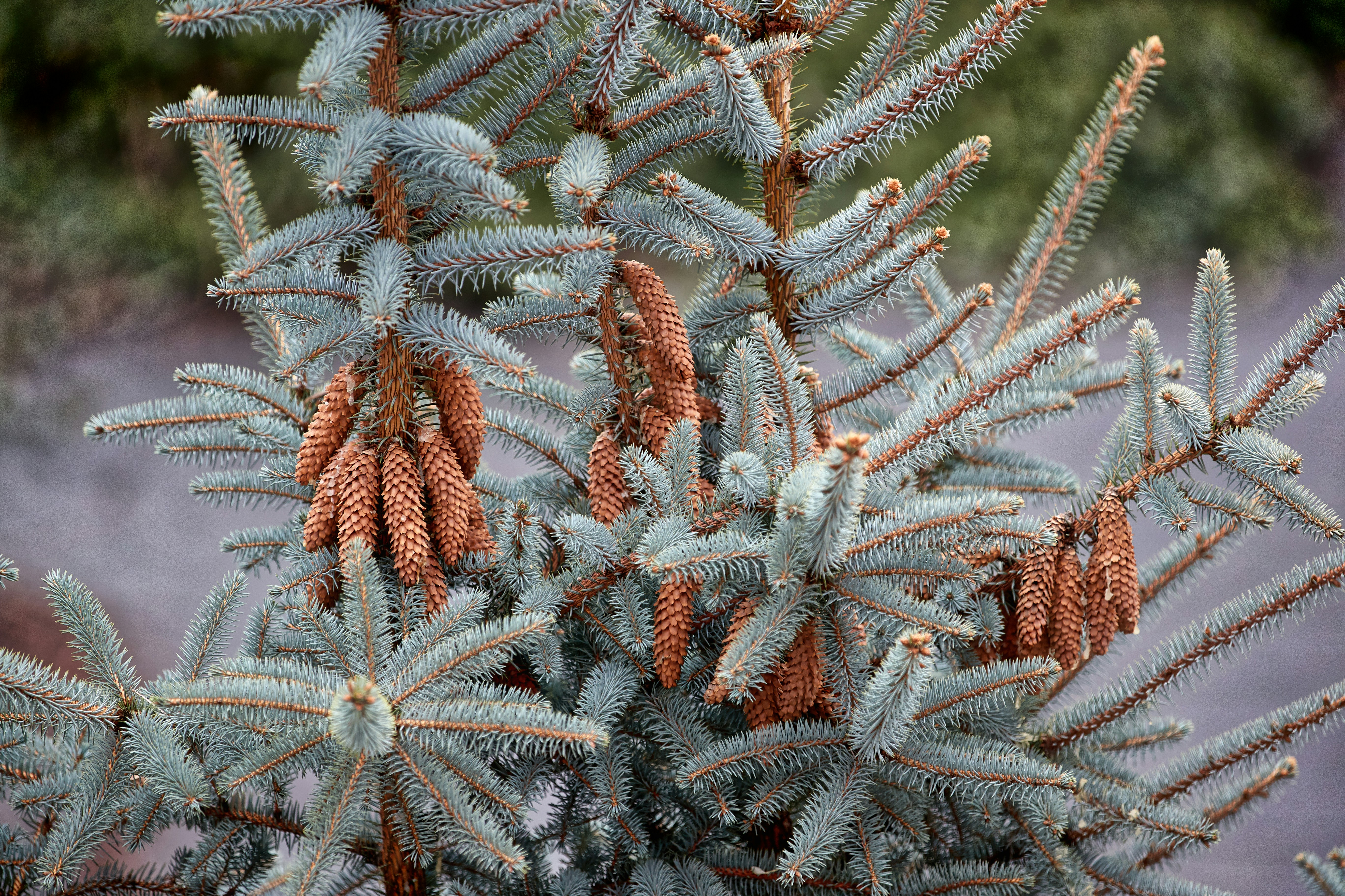 Photo by bennoklandt