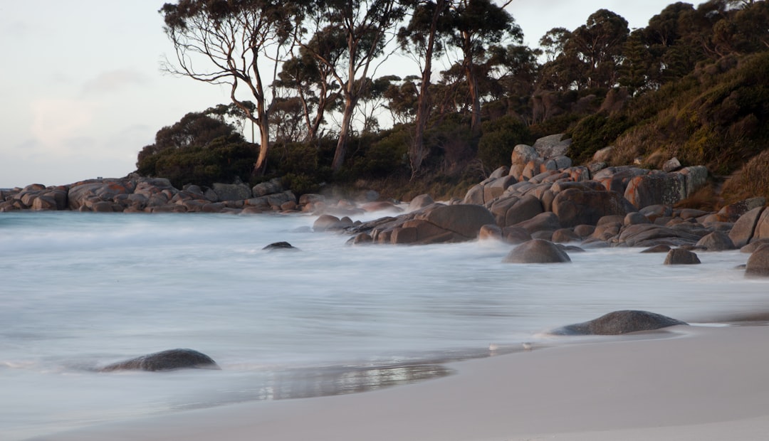 Beach photo spot Tasmania Tasmania