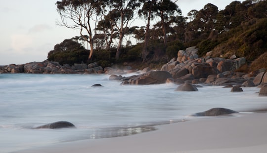 rocks near sea in Tasmania Australia