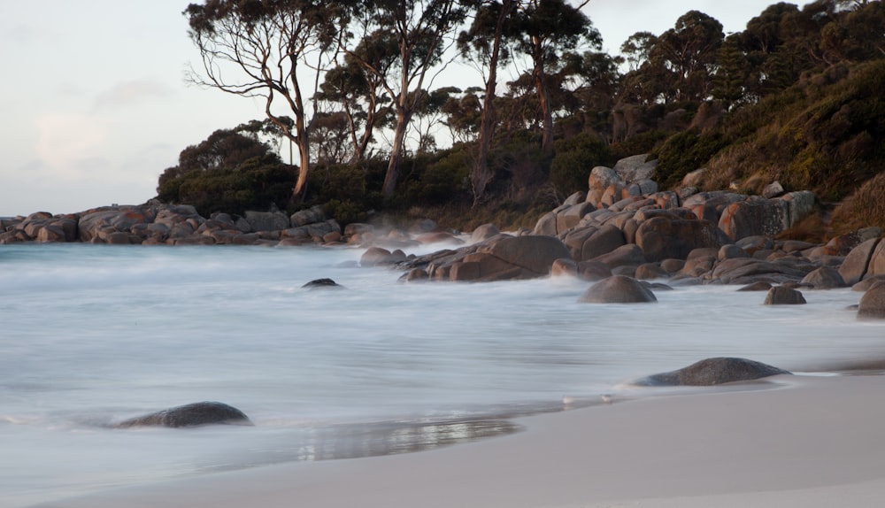 rocks near sea