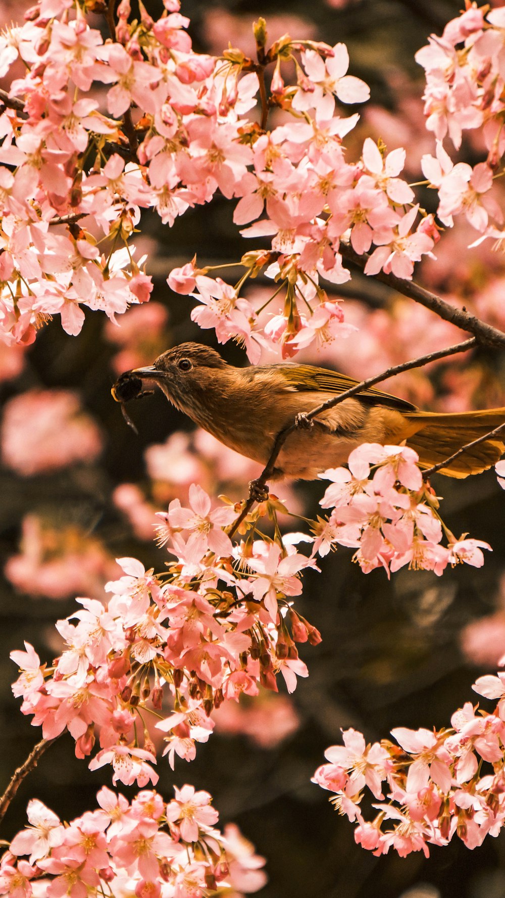 bird perching on tree during daytime