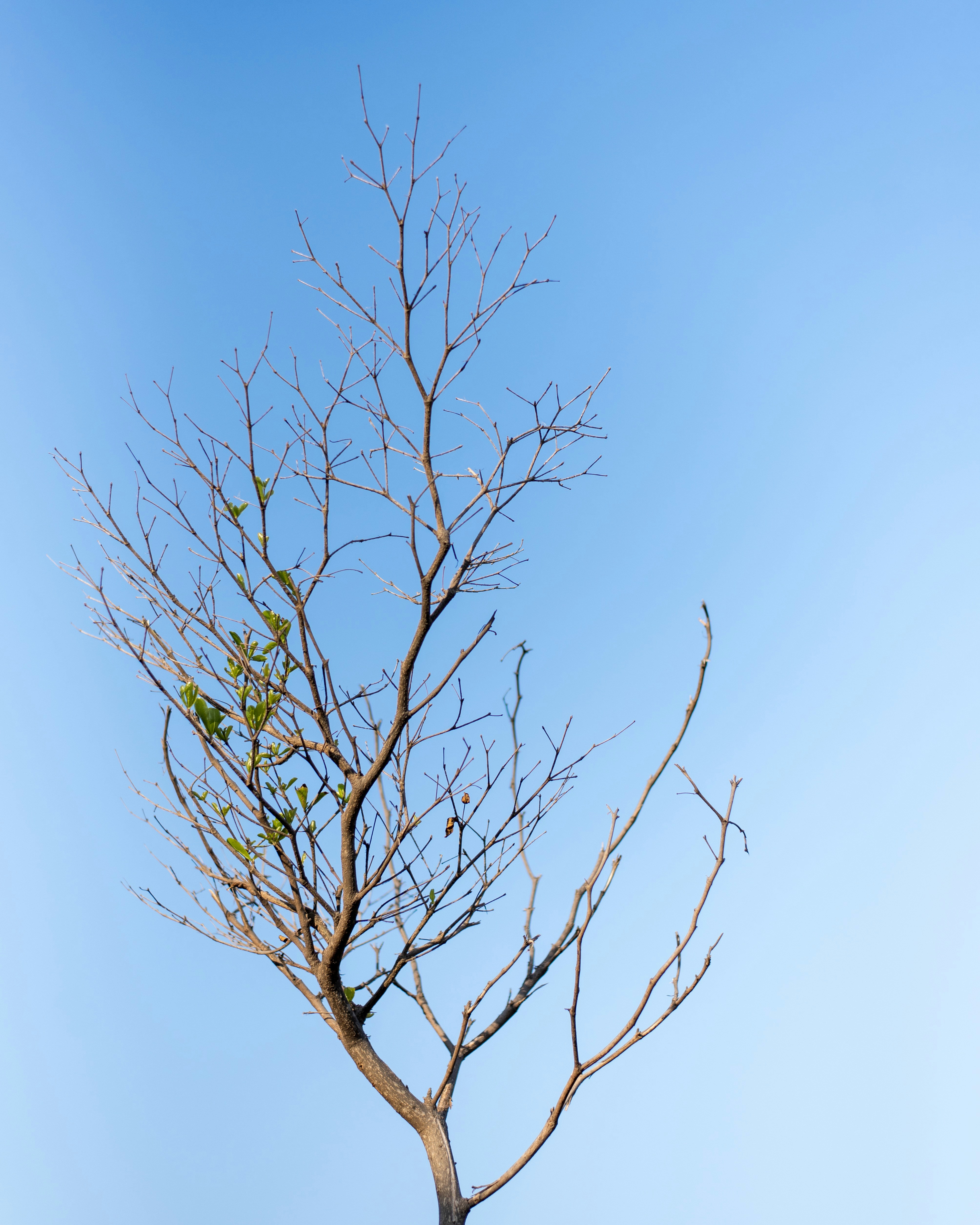 Photo by timesofwander