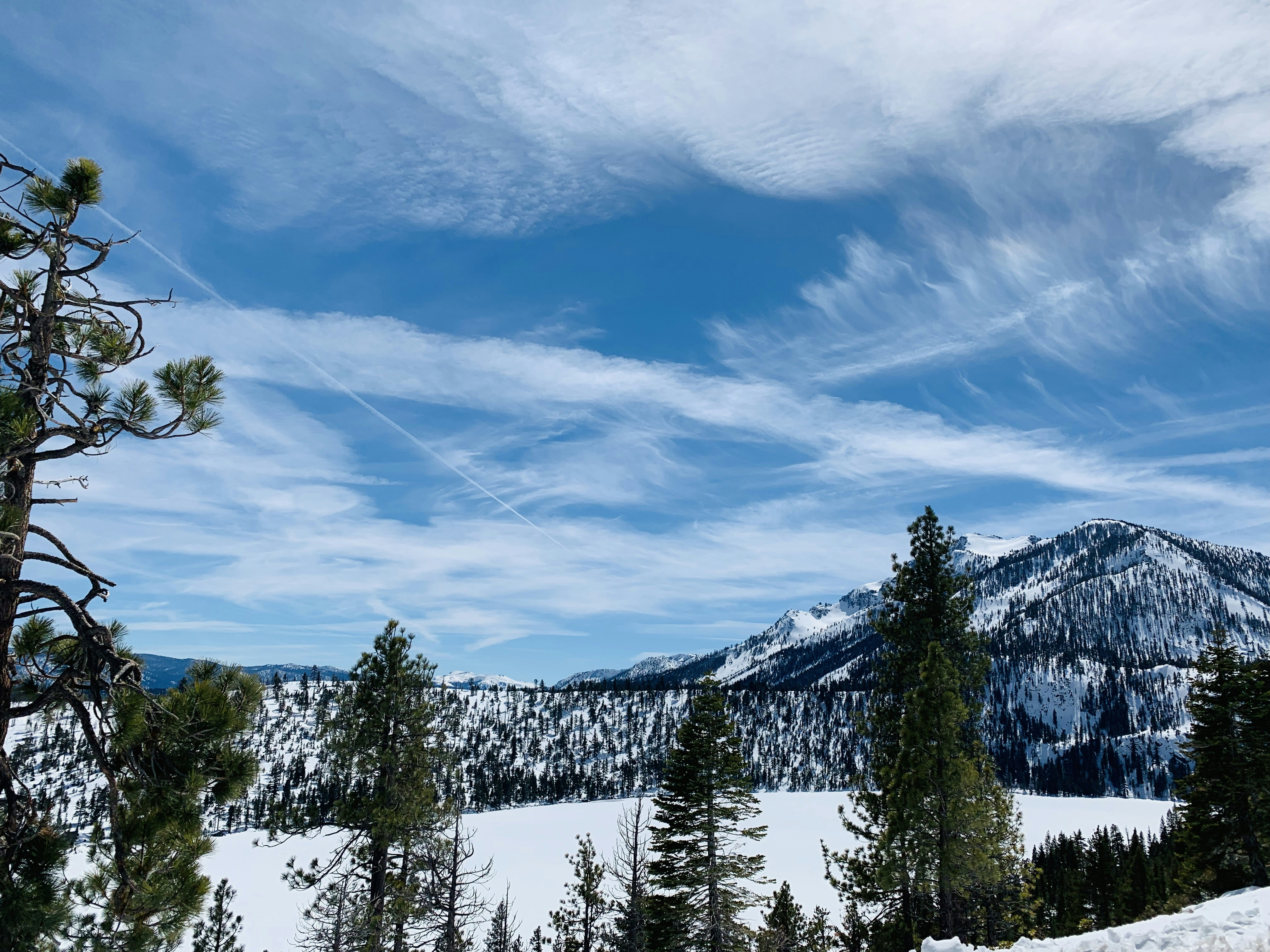 Photo by lifescalpel