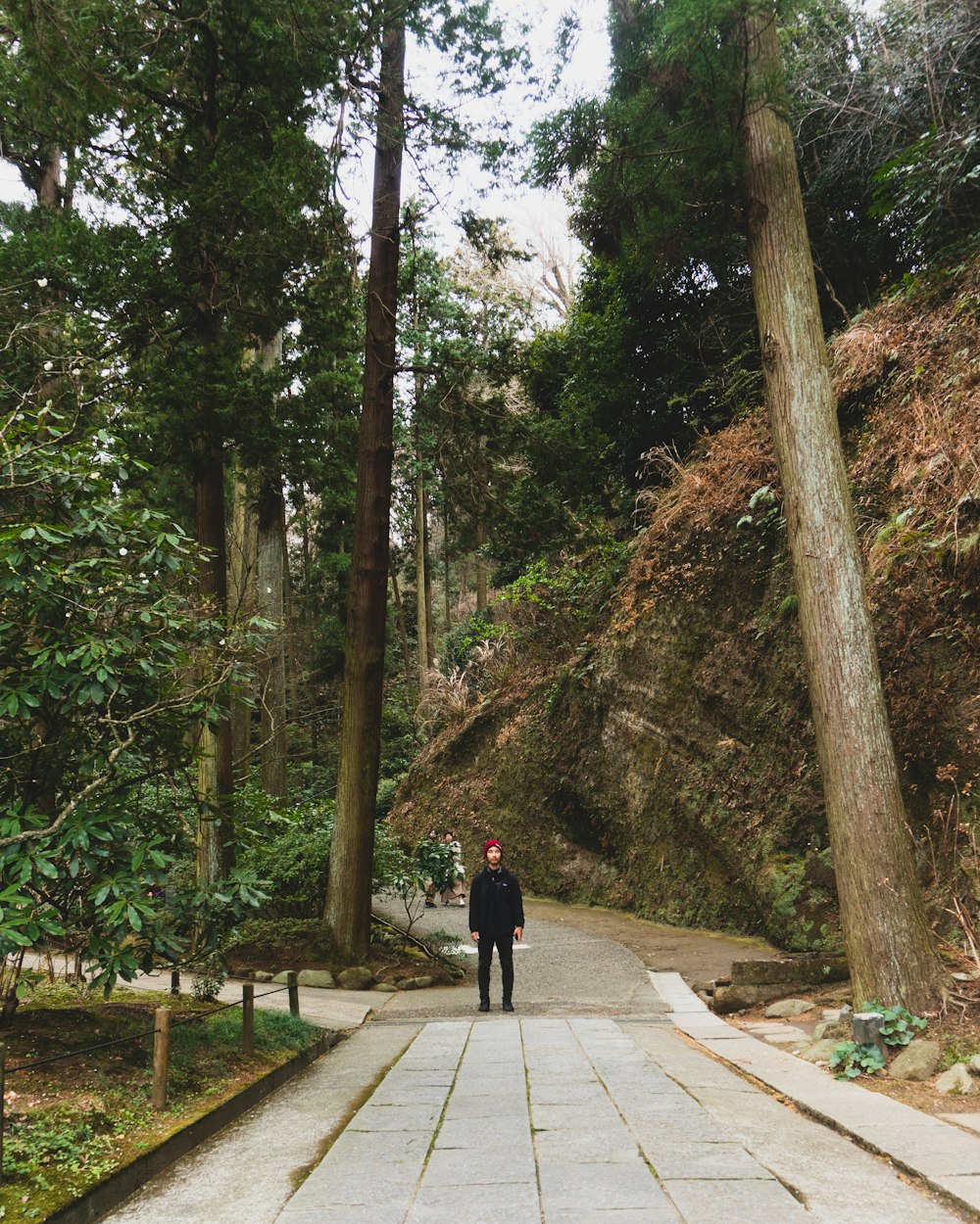 man standing under tree during daytime