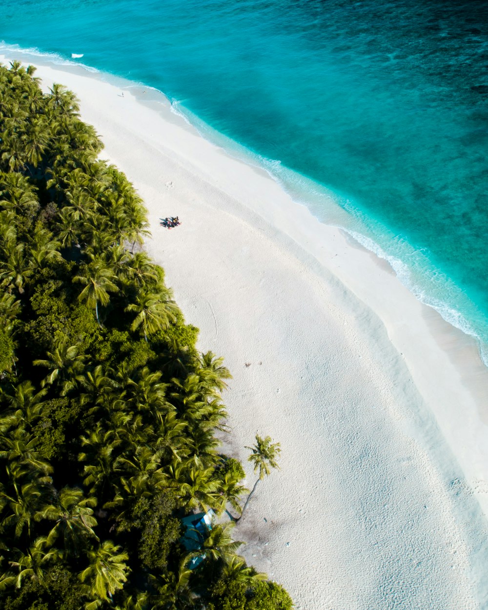 aerial photography of seashore