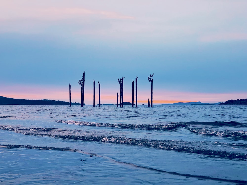 posts in body of water under cloudy sky