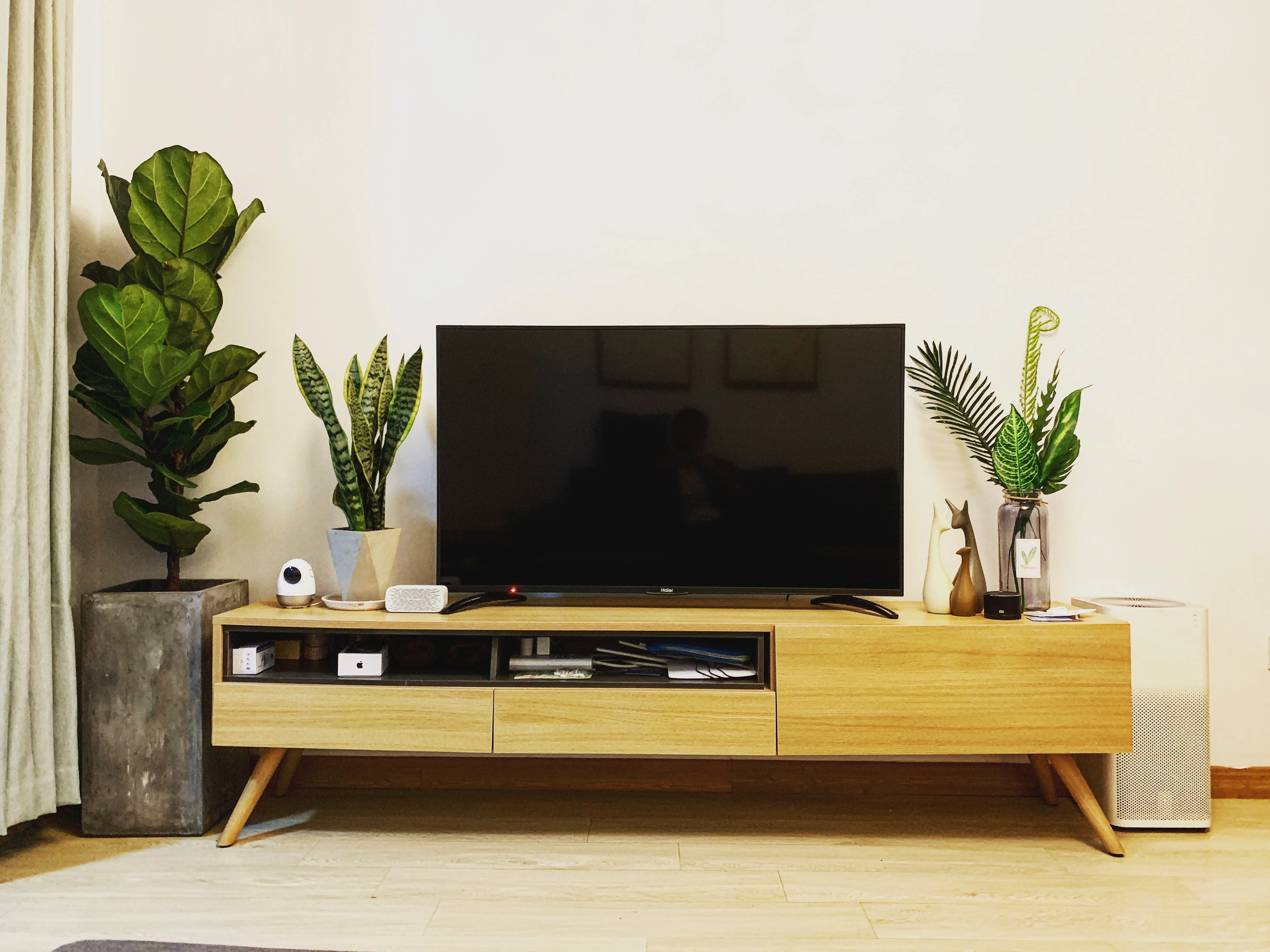 A flat-screen TV on a wooden stand beside potted plants