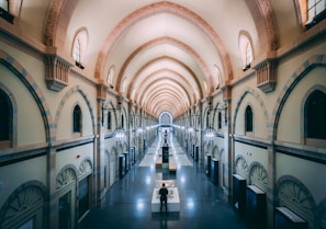 people inside brown building