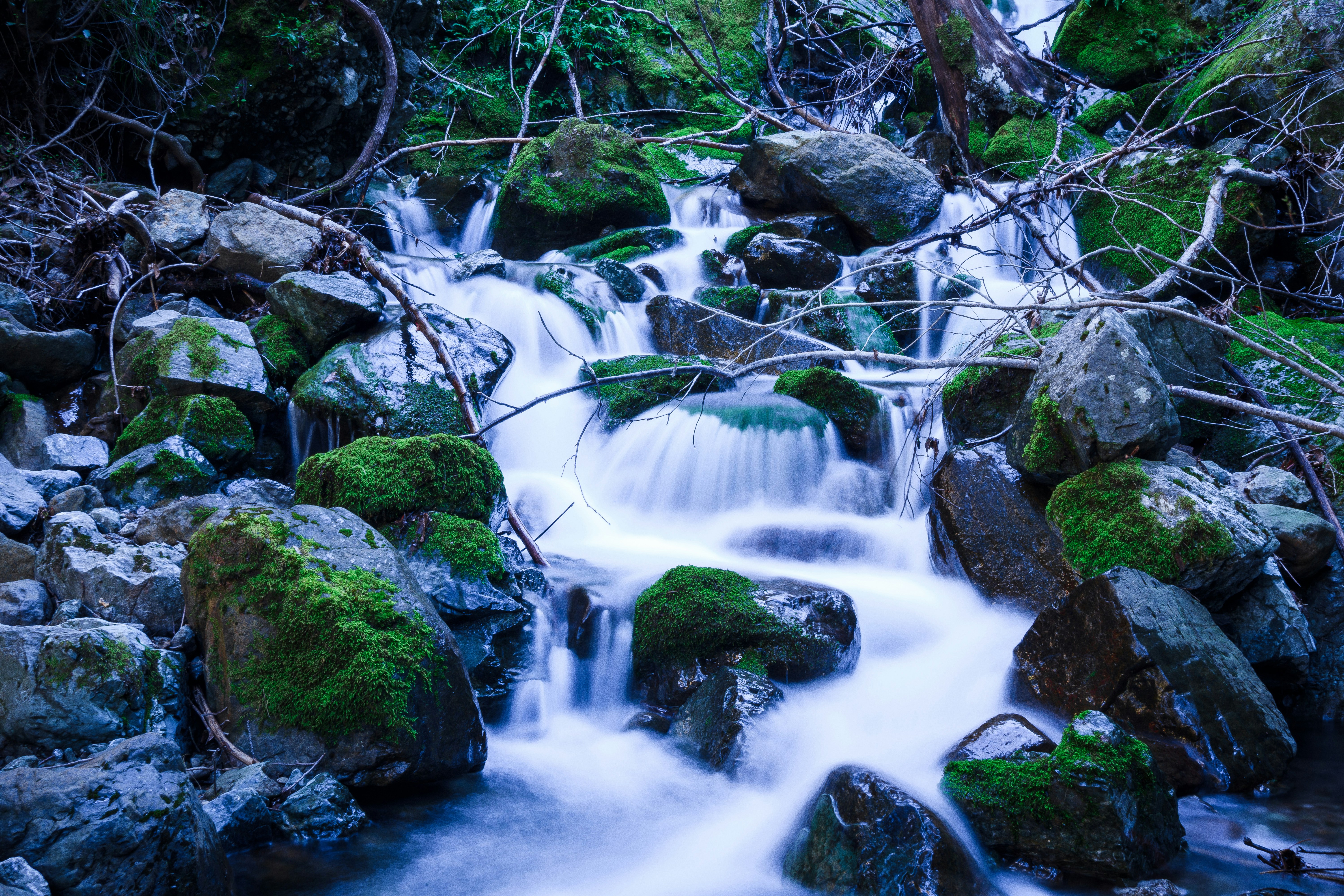 At the end of a 12 mile hike, we came across this waterfall; it truly was the fountain of life. Taking off our boots and letting our tired feet soak in the cool water gave us the energy required to finish the last few miles of the hike.