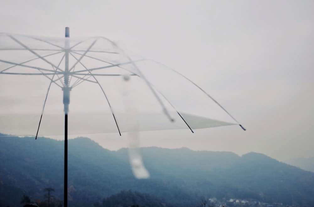 clear plastic umbrella