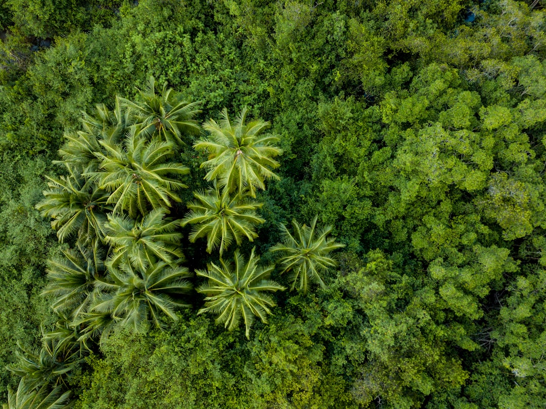 Forest photo spot Hotel Si Como No Turrialba