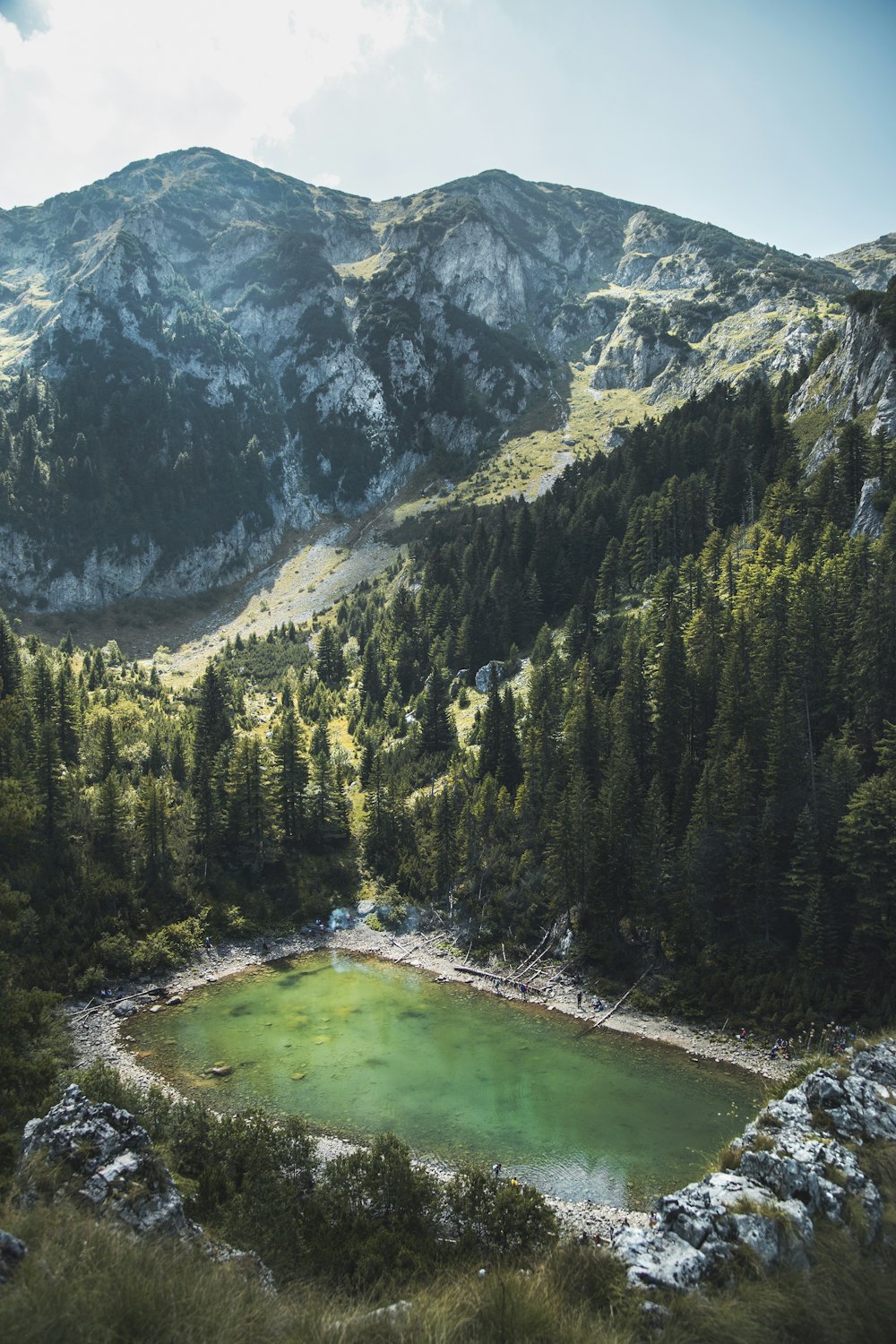 green lake surrounded by trees