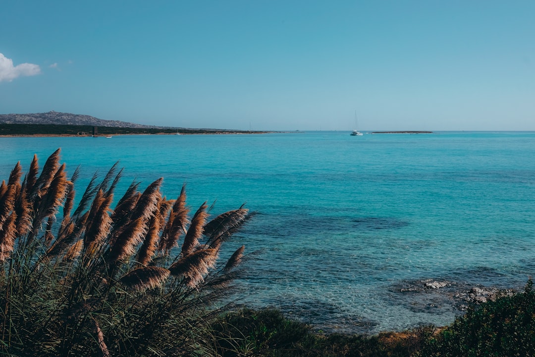 body of water at daytime