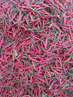 A dense pile of red chili peppers, some with green stems and a few dried leaves interspersed. The chili peppers are varied in size and appear fresh, creating a rich texture and vibrant color contrast.