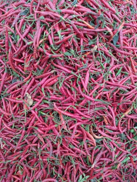 A dense pile of red chili peppers, some with green stems and a few dried leaves interspersed. The chili peppers are varied in size and appear fresh, creating a rich texture and vibrant color contrast.