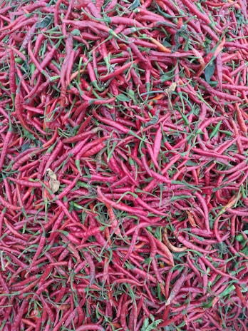 A dense pile of red chili peppers, some with green stems and a few dried leaves interspersed. The chili peppers are varied in size and appear fresh, creating a rich texture and vibrant color contrast.