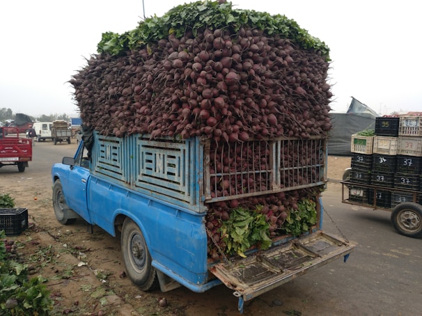 A blue truck is loaded with an enormous stack of beets, with the vegetables tightly packed and spilling over the sides and back. The truck is parked on a roadside, with crates and other vehicles visible in the background. The scene appears to be at a marketplace or similar setting.