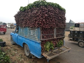 A blue truck is loaded with an enormous stack of beets, with the vegetables tightly packed and spilling over the sides and back. The truck is parked on a roadside, with crates and other vehicles visible in the background. The scene appears to be at a marketplace or similar setting.