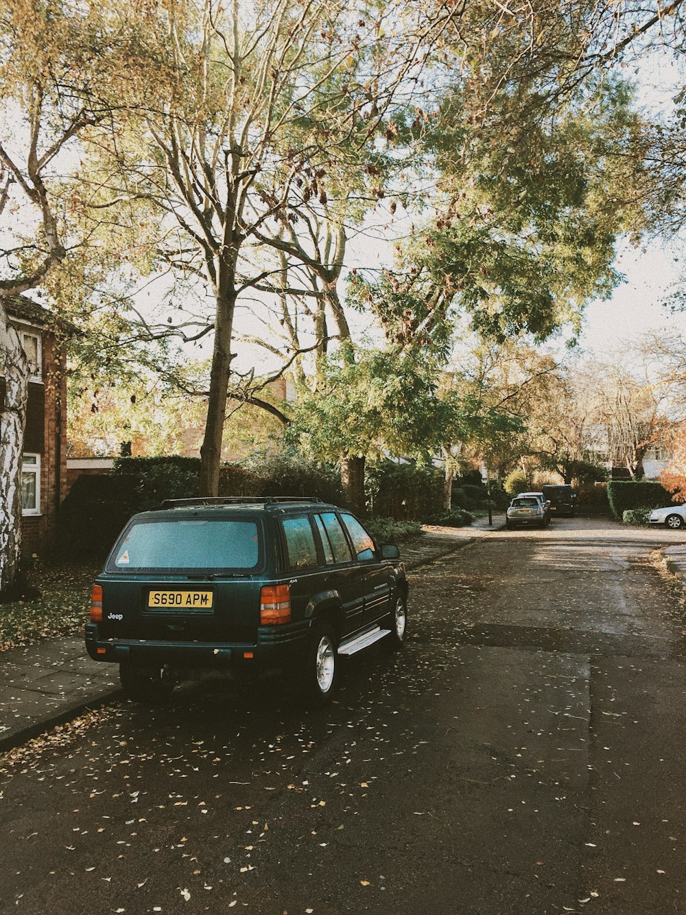 black SUV parked near tree