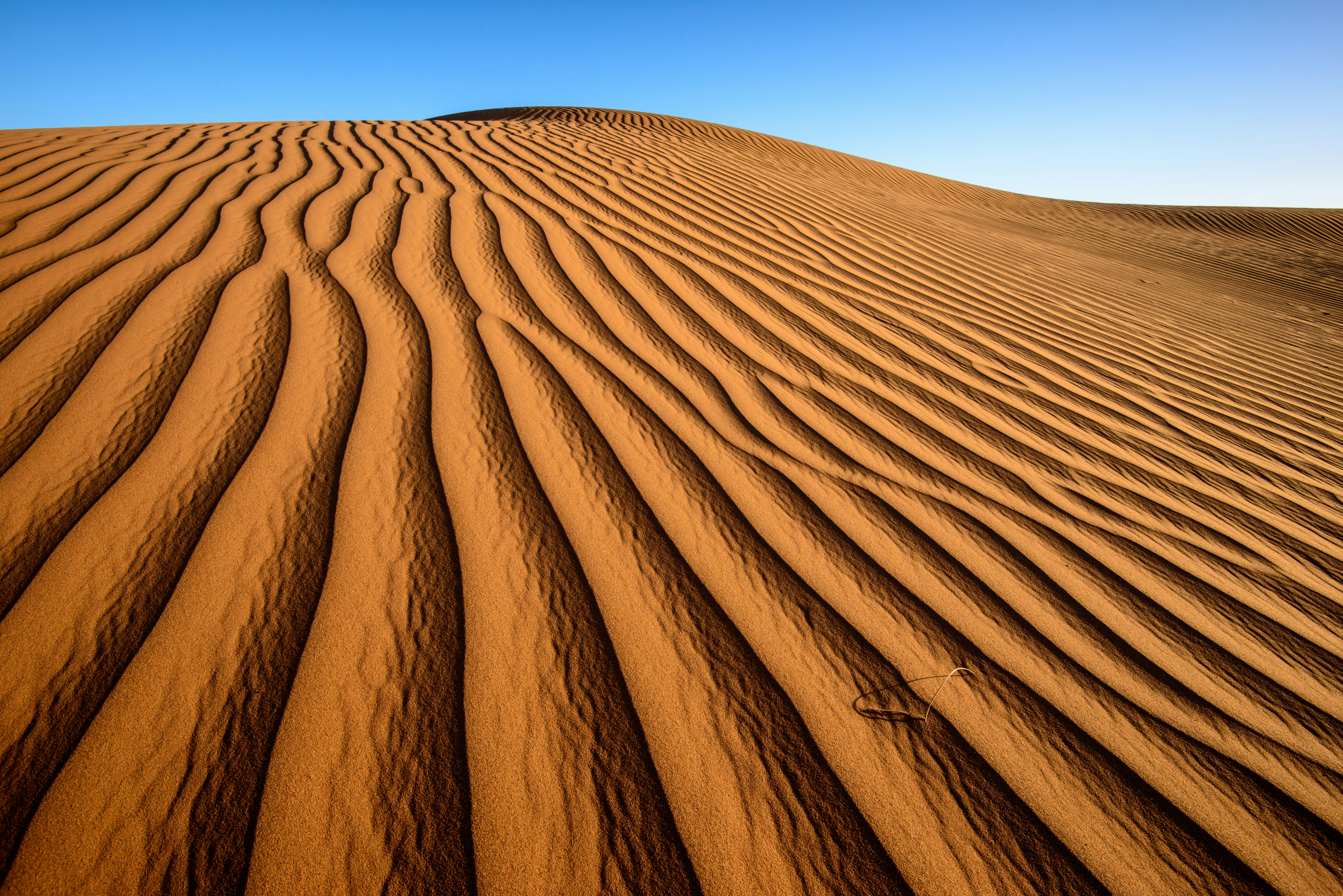 desert during daytime