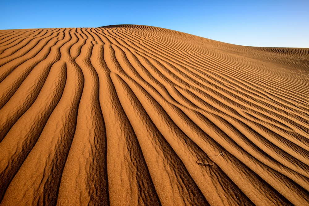 desert during daytime