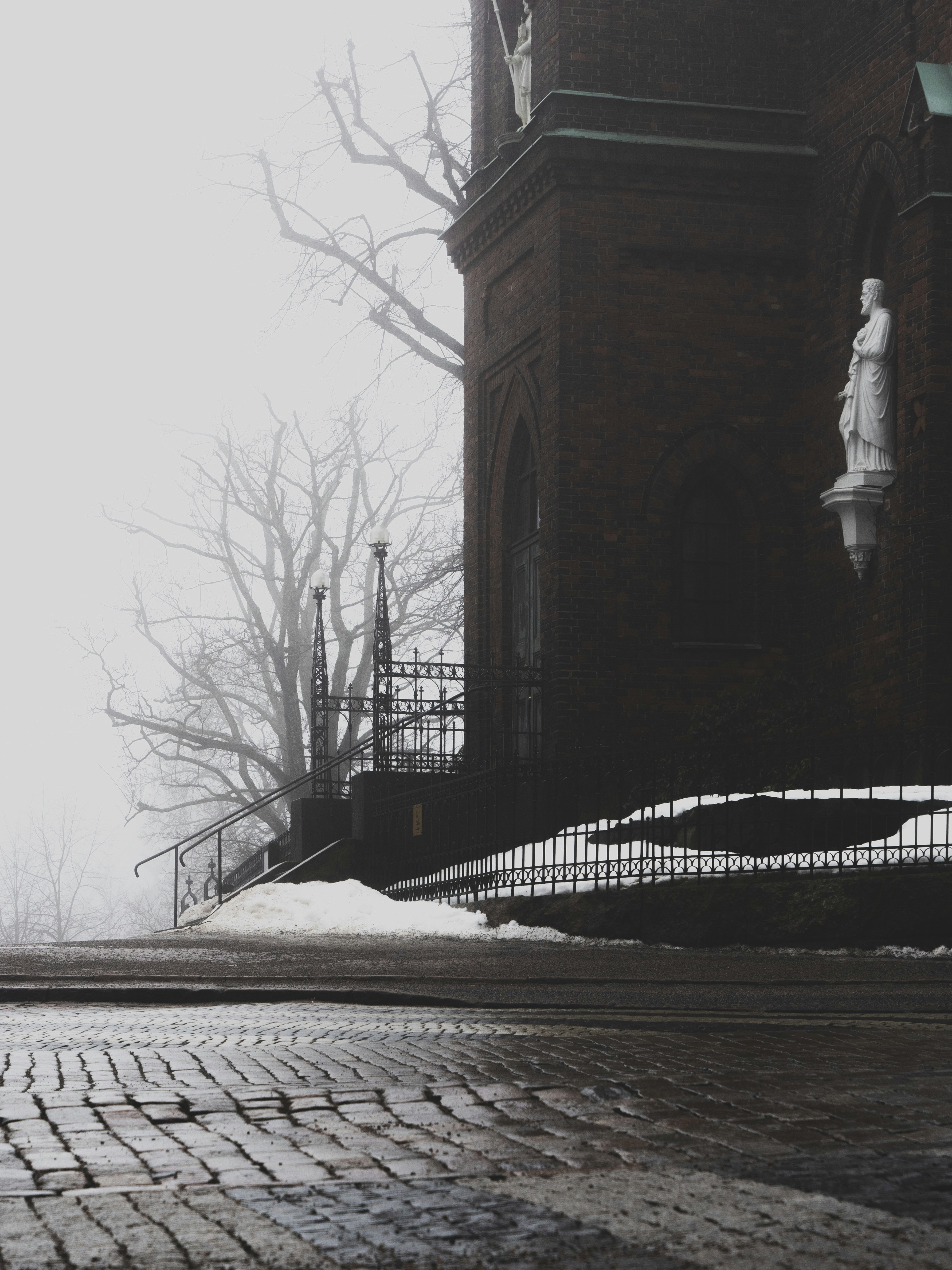 snow covered brick pathway photo