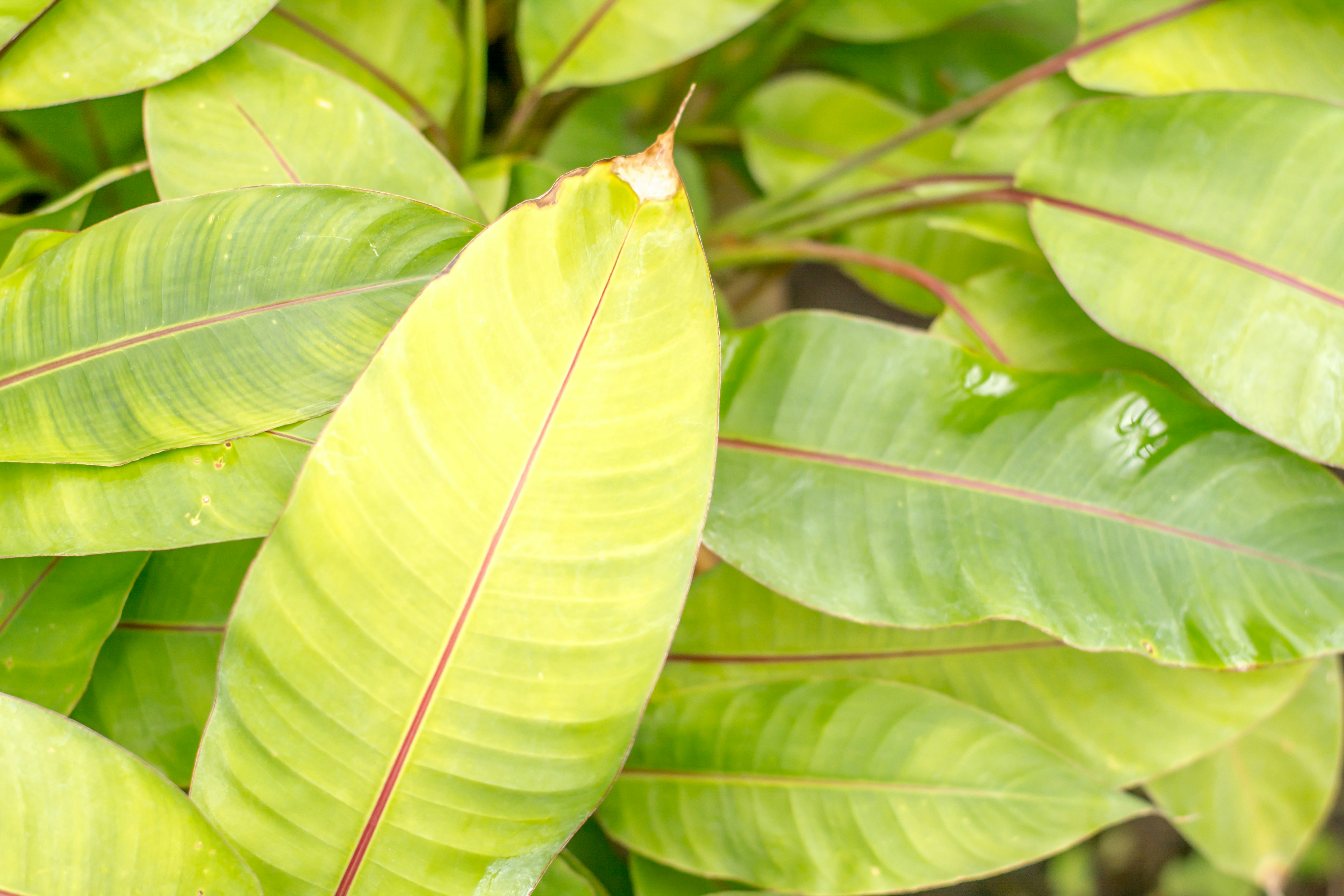 Photo by eugenivy_now