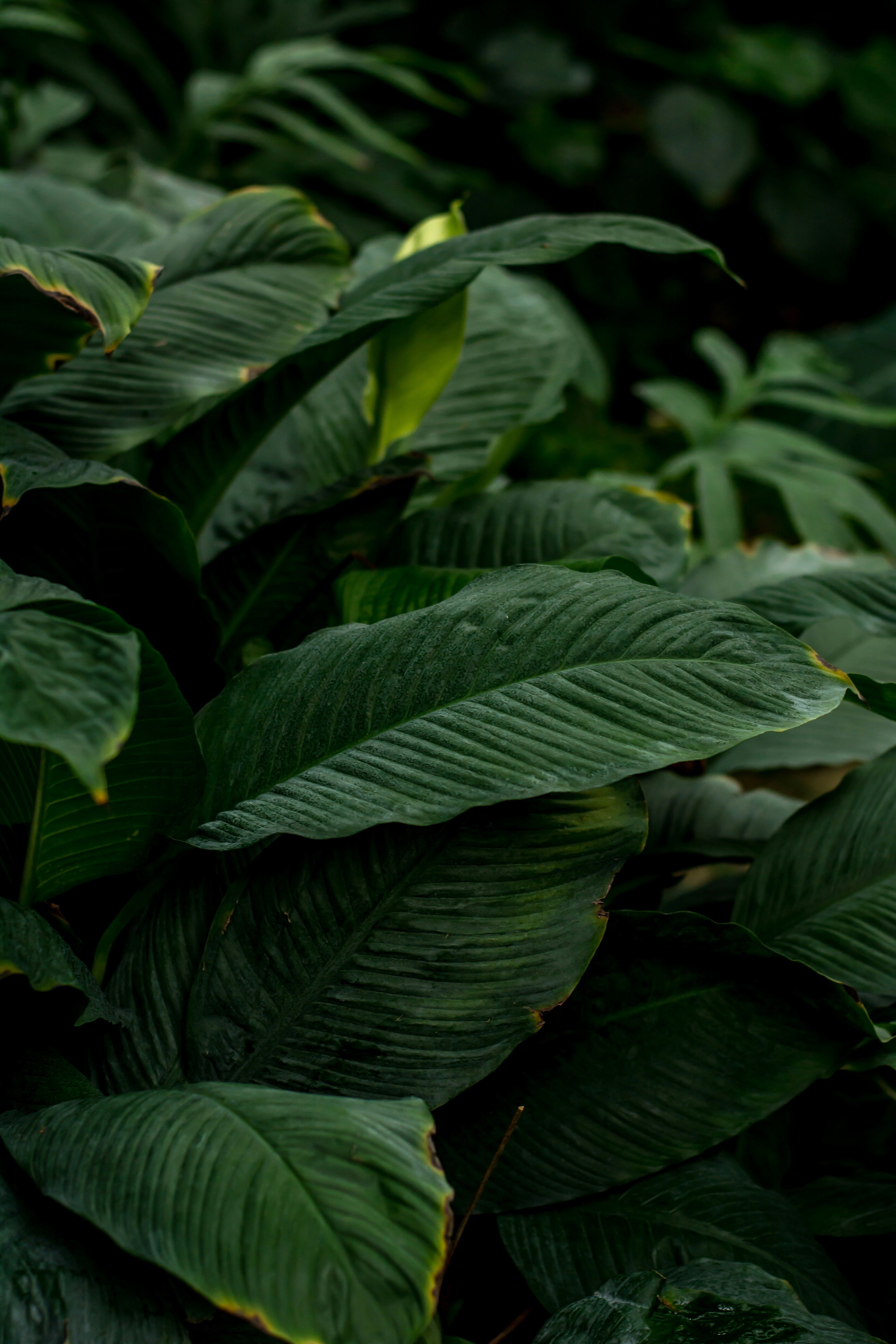 Photo by eugenivy_now