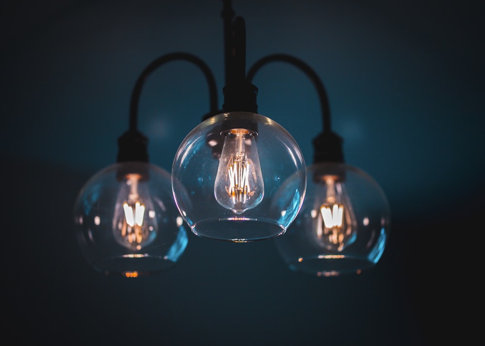 close-up photography of lighted bulbs