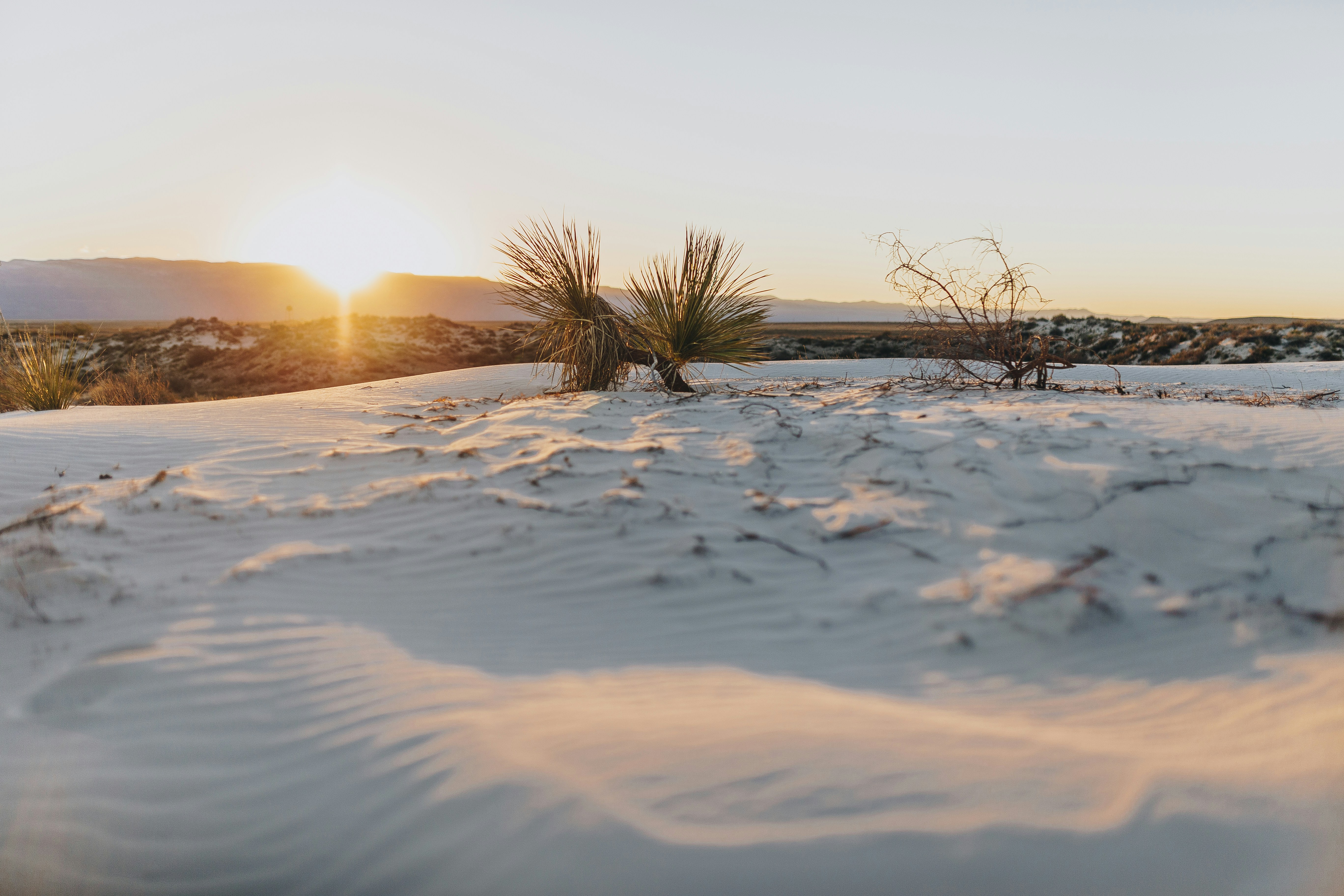 snow covered field during daytime, 