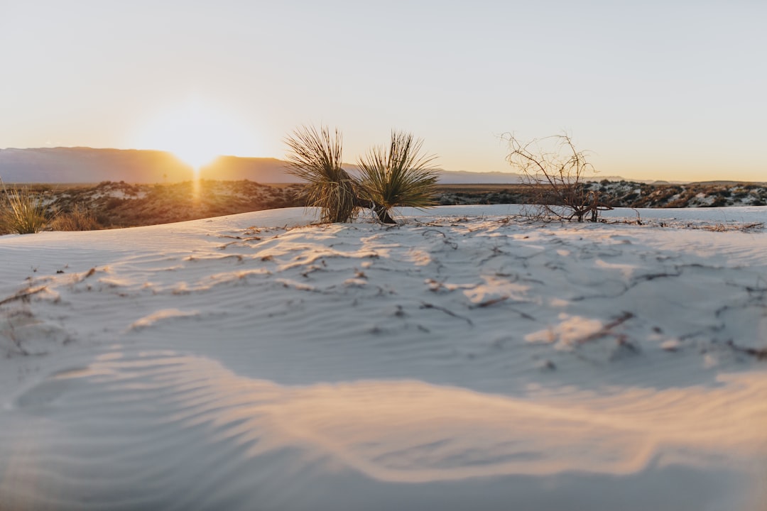 Uncovering the Mysteries of New Mexico's Sparkling White Sands - An… — Uncovering the Mysteries of New Mexico's