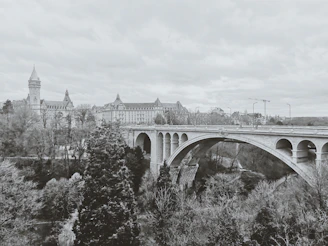 grayscale photography of gray bridge