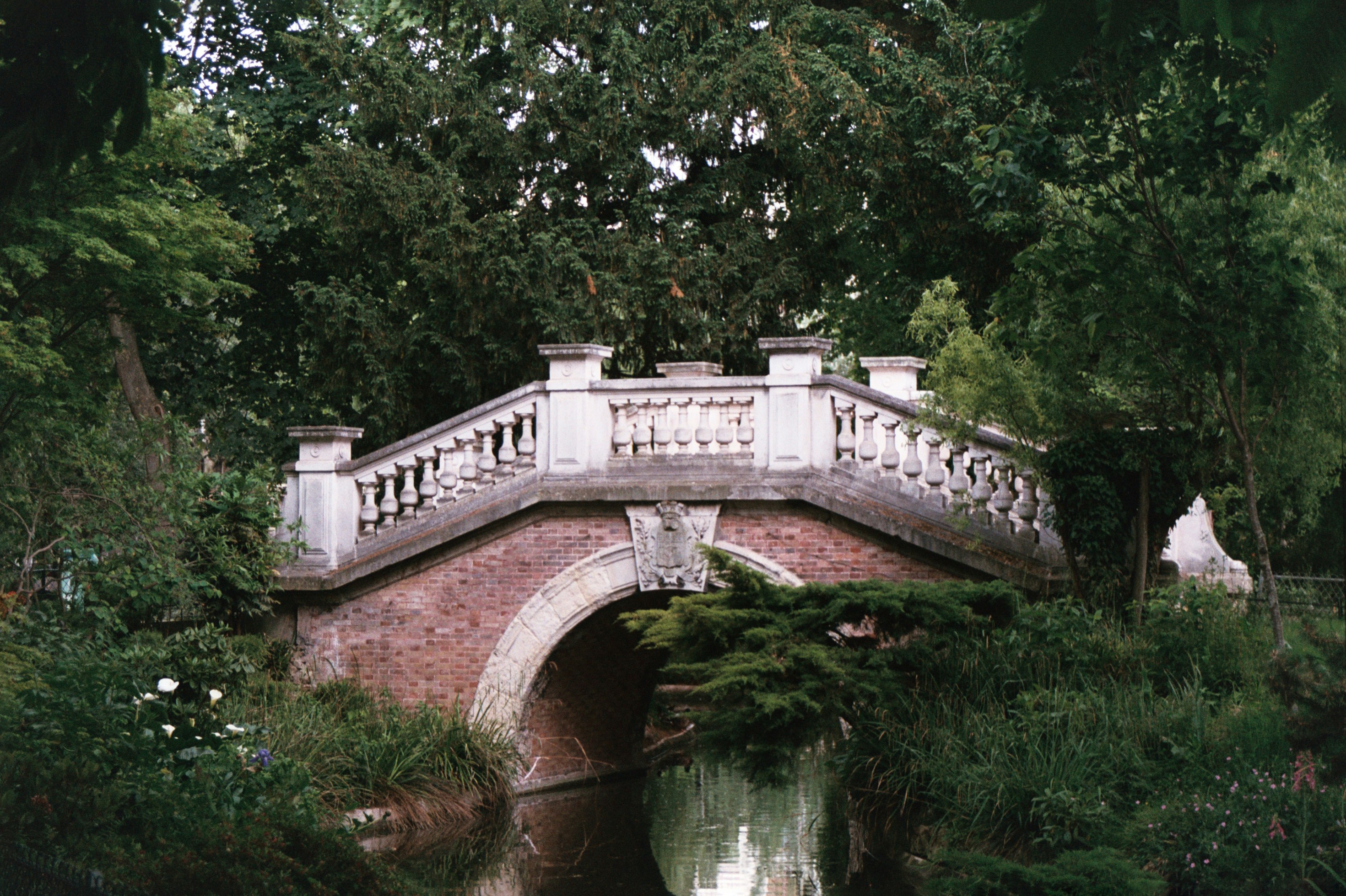 white concrete bridge near trees, 