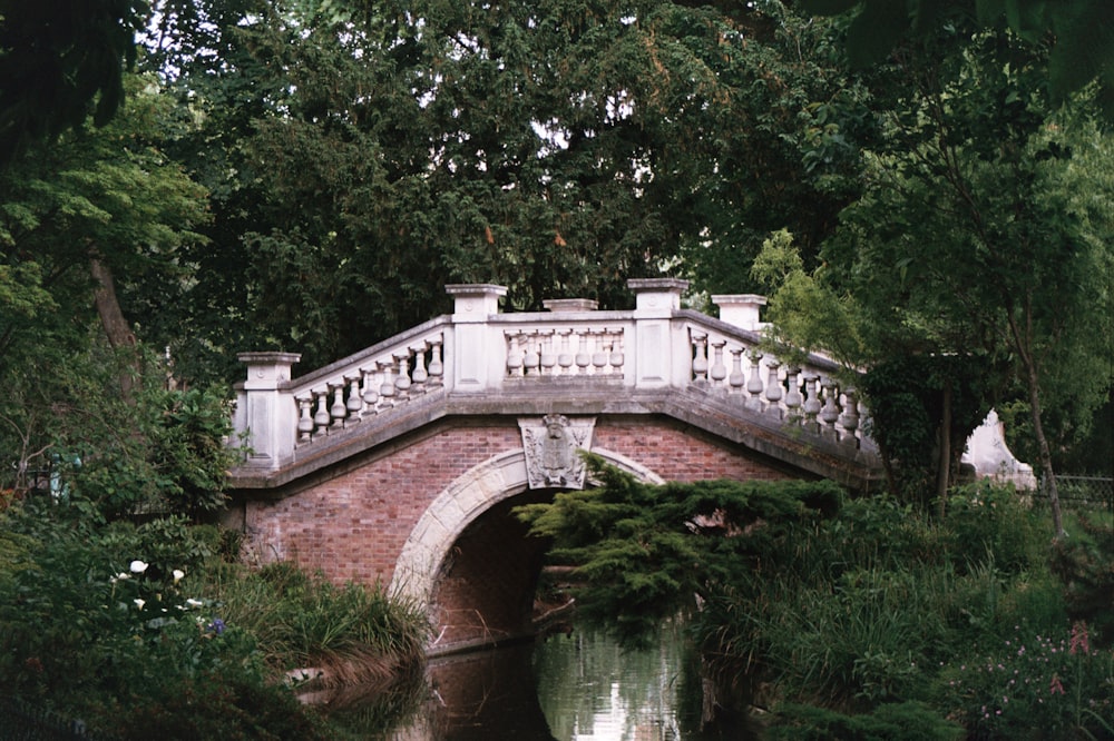 white concrete bridge near trees