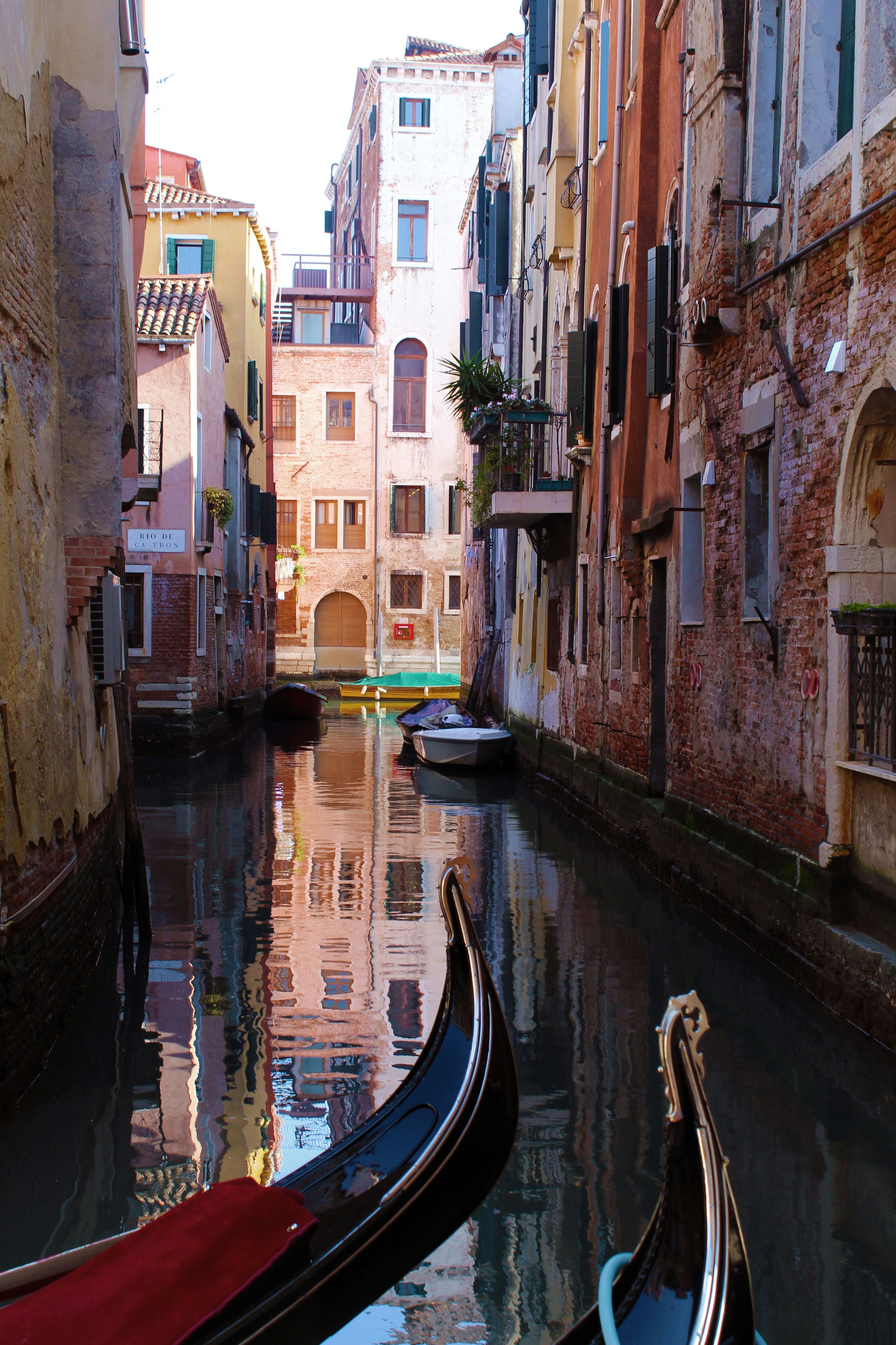 Photo by alexyadarkness