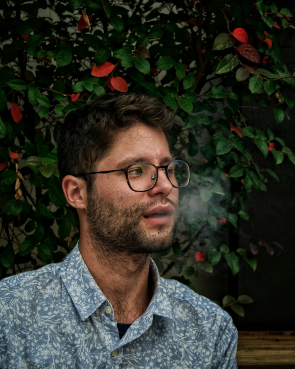 man standing near leafed plant