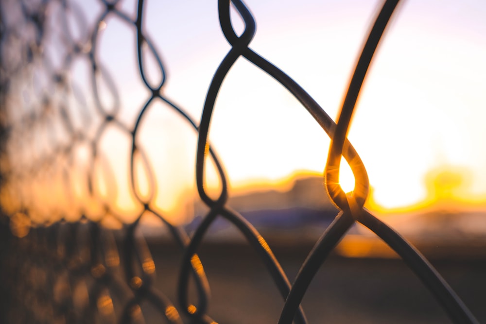 close-up photography of brown fence