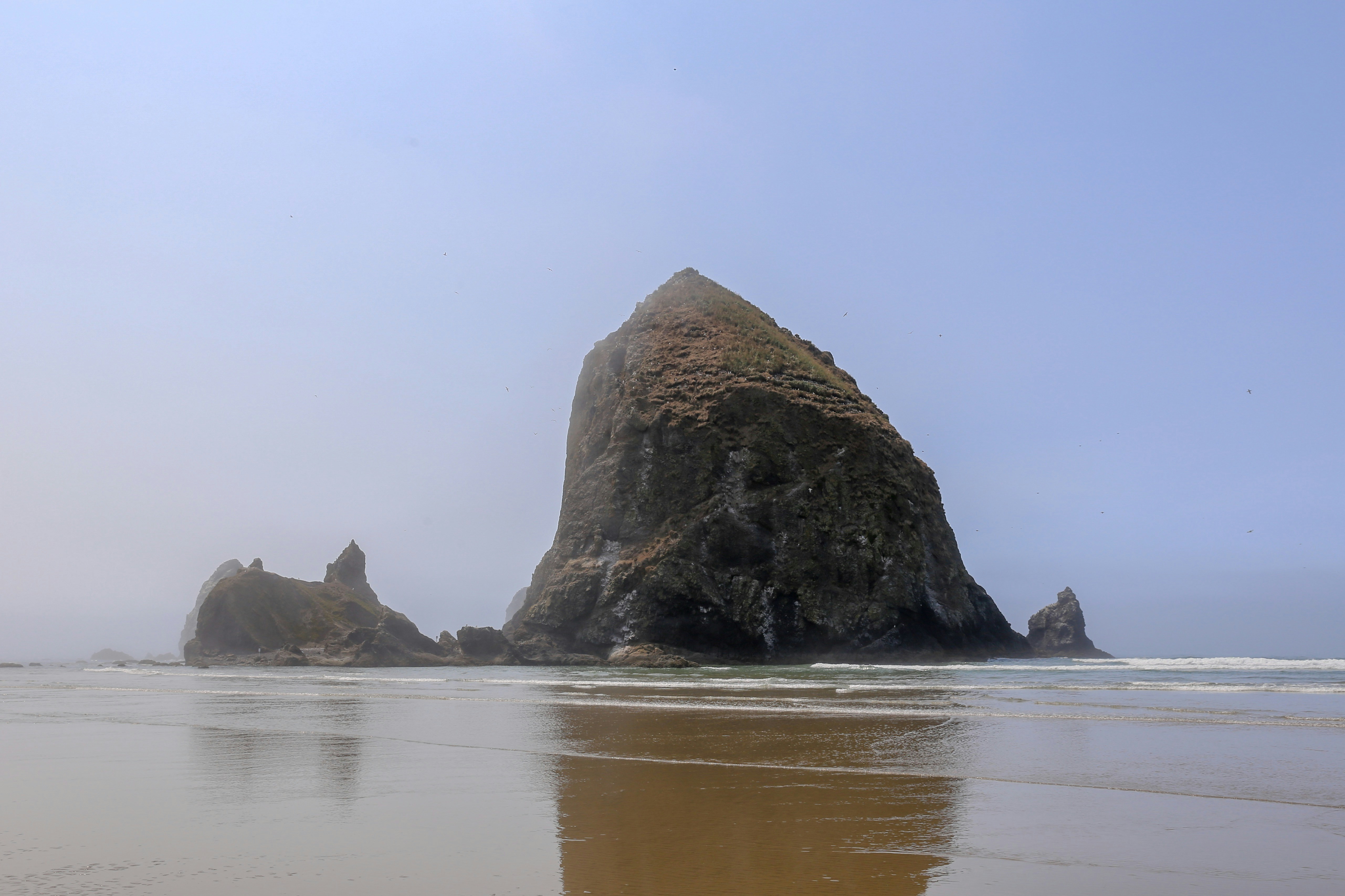 האם אנחנו עדיין צריכים עבודה סוציאלית פסיכודינמית? �
