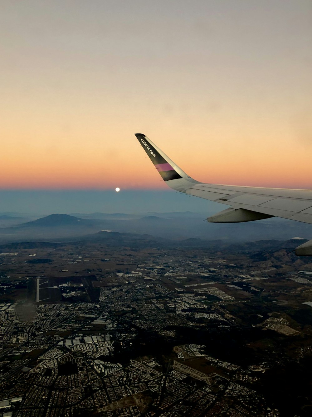 白い飛行機の翼