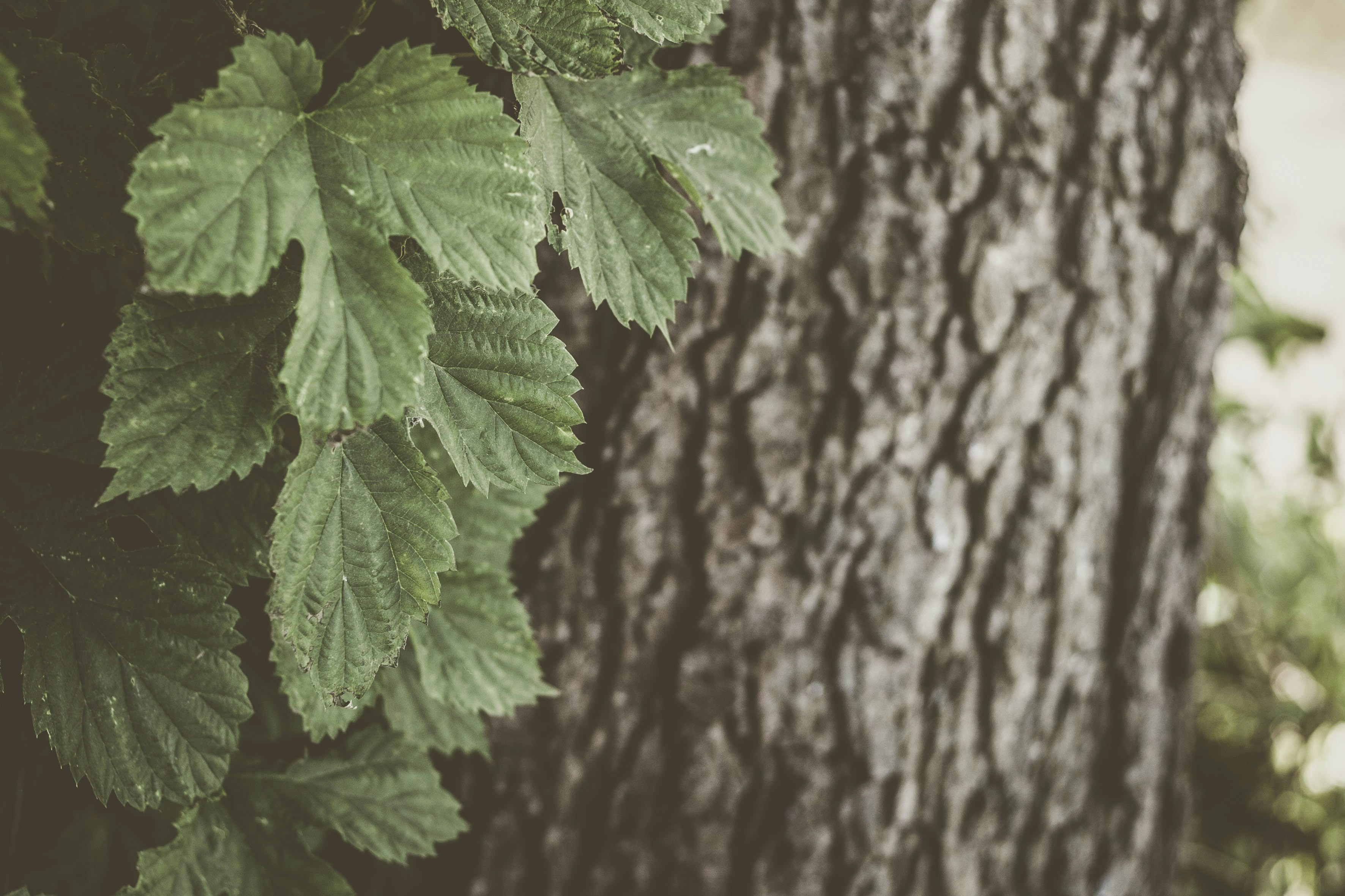 Photo by quadratmedia