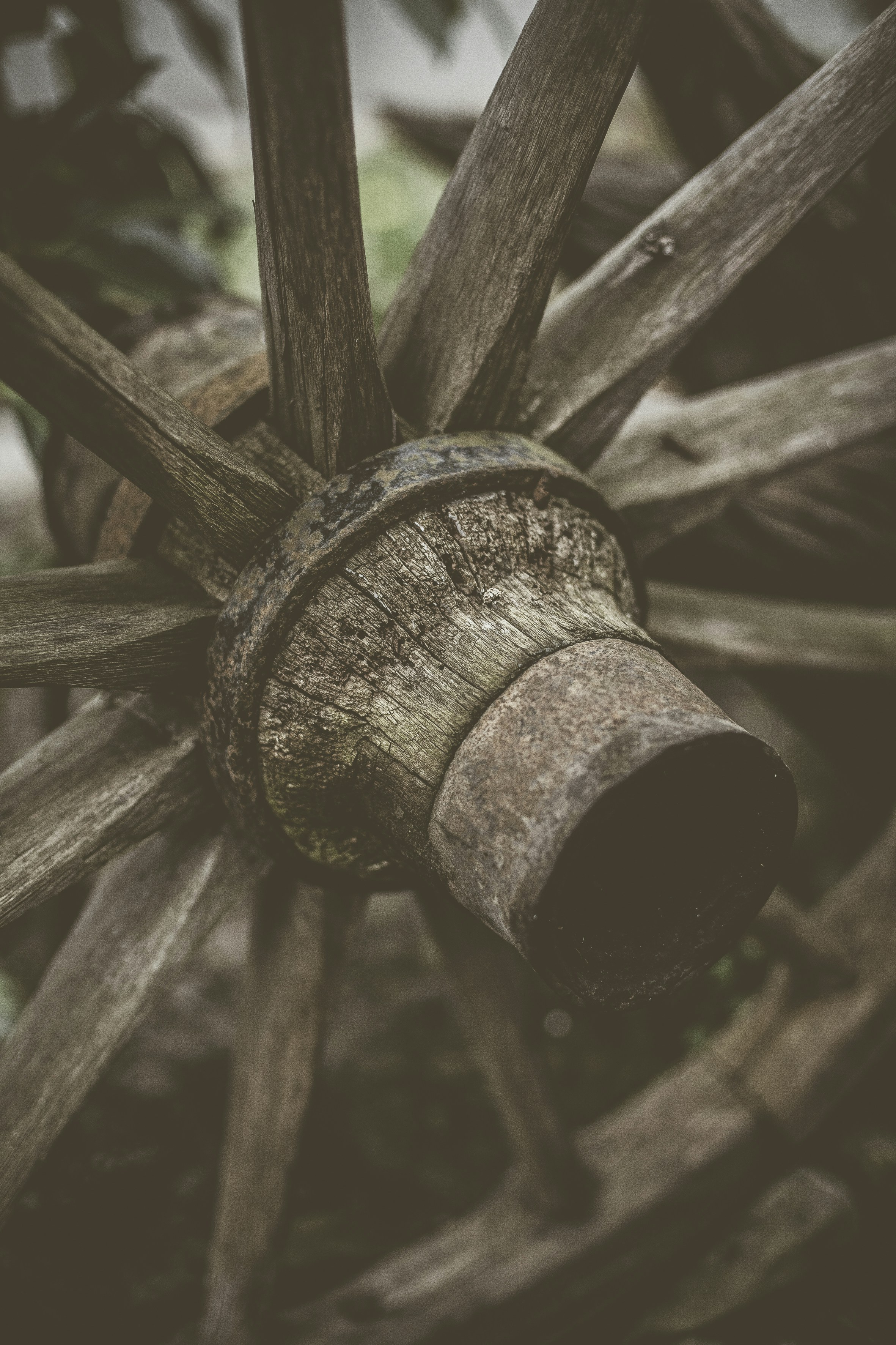 Photo by quadratmedia