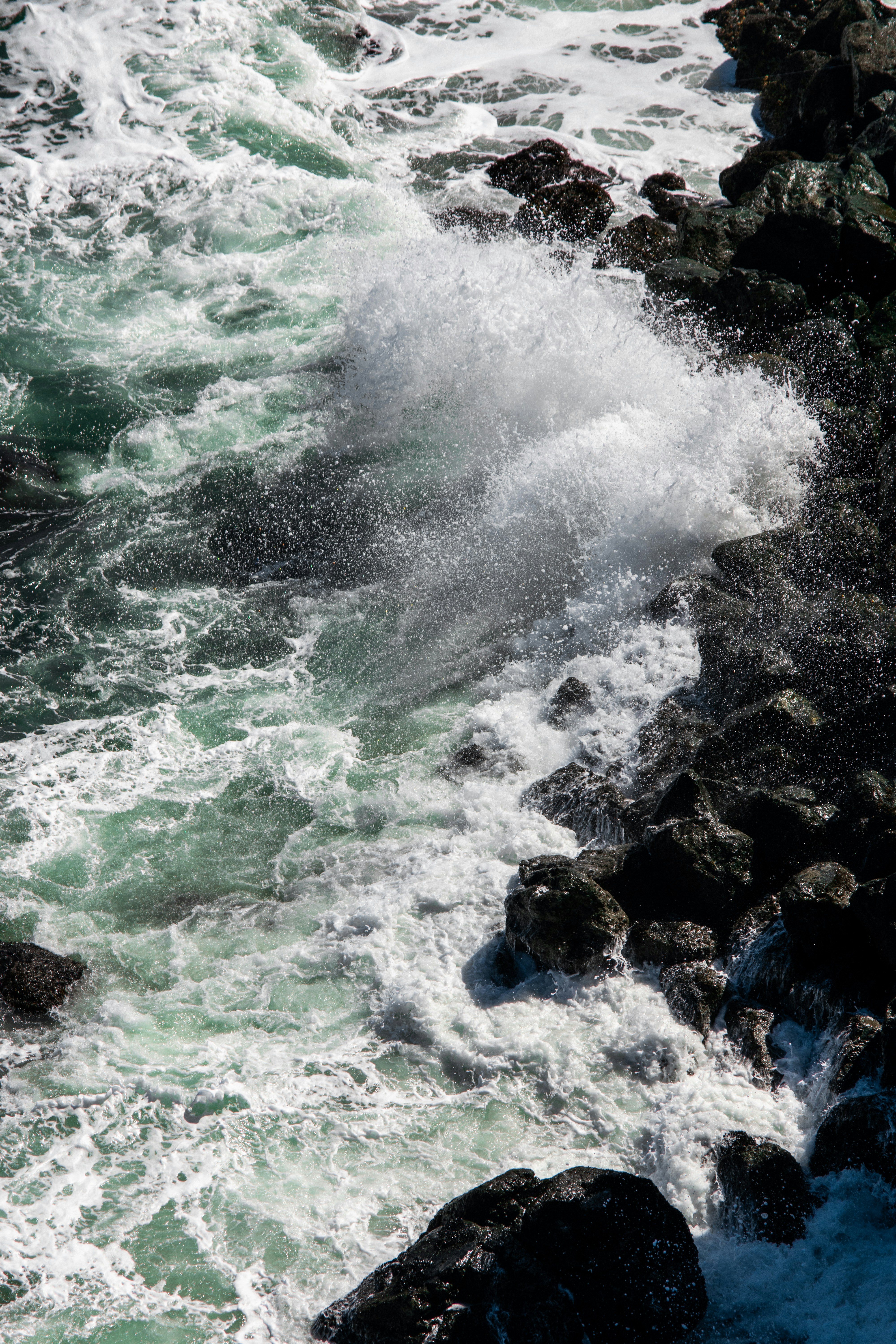 Photo by dhruvweaver