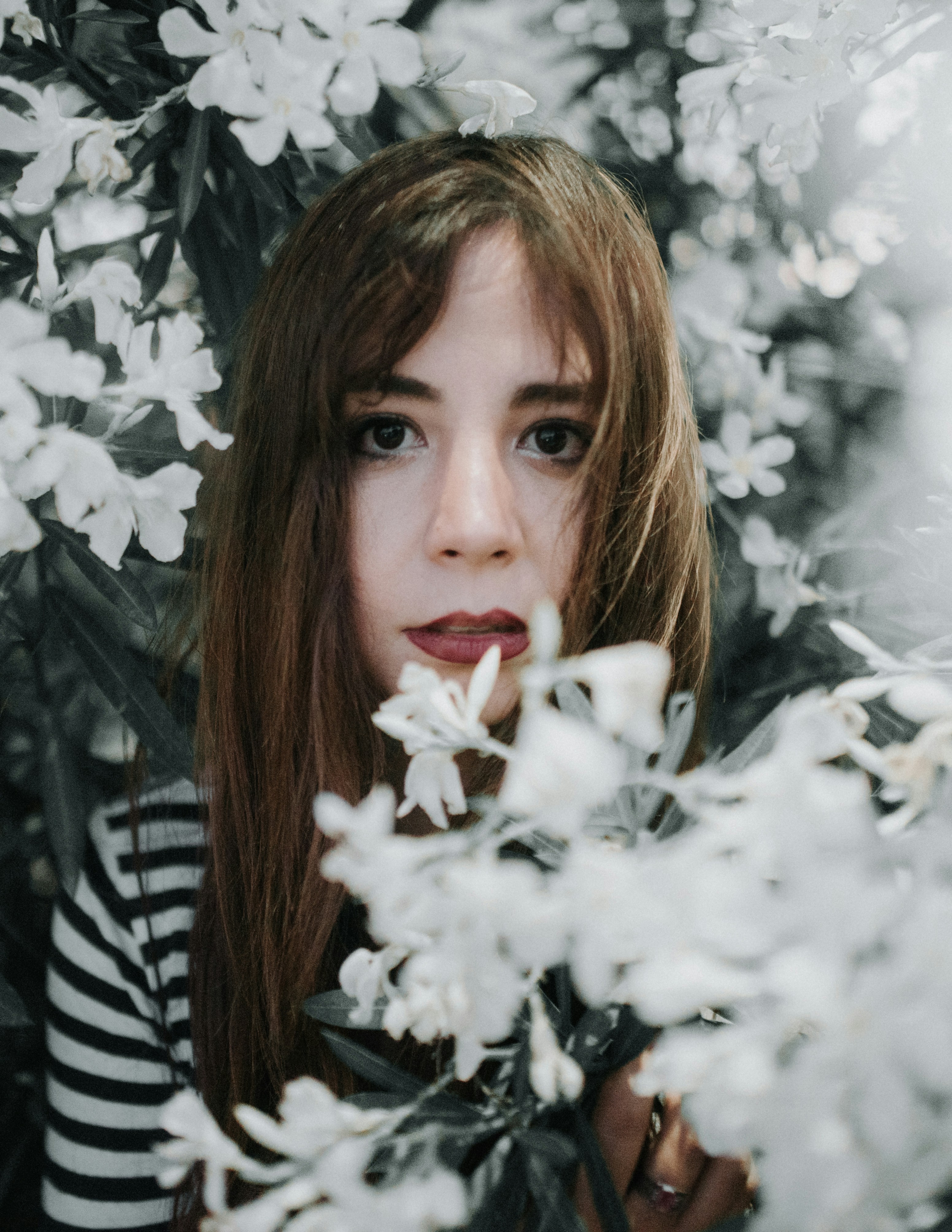 Photo by brunocervera