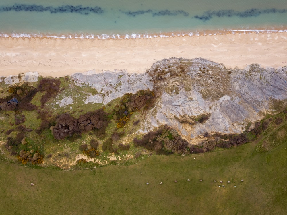 aerial view of beach