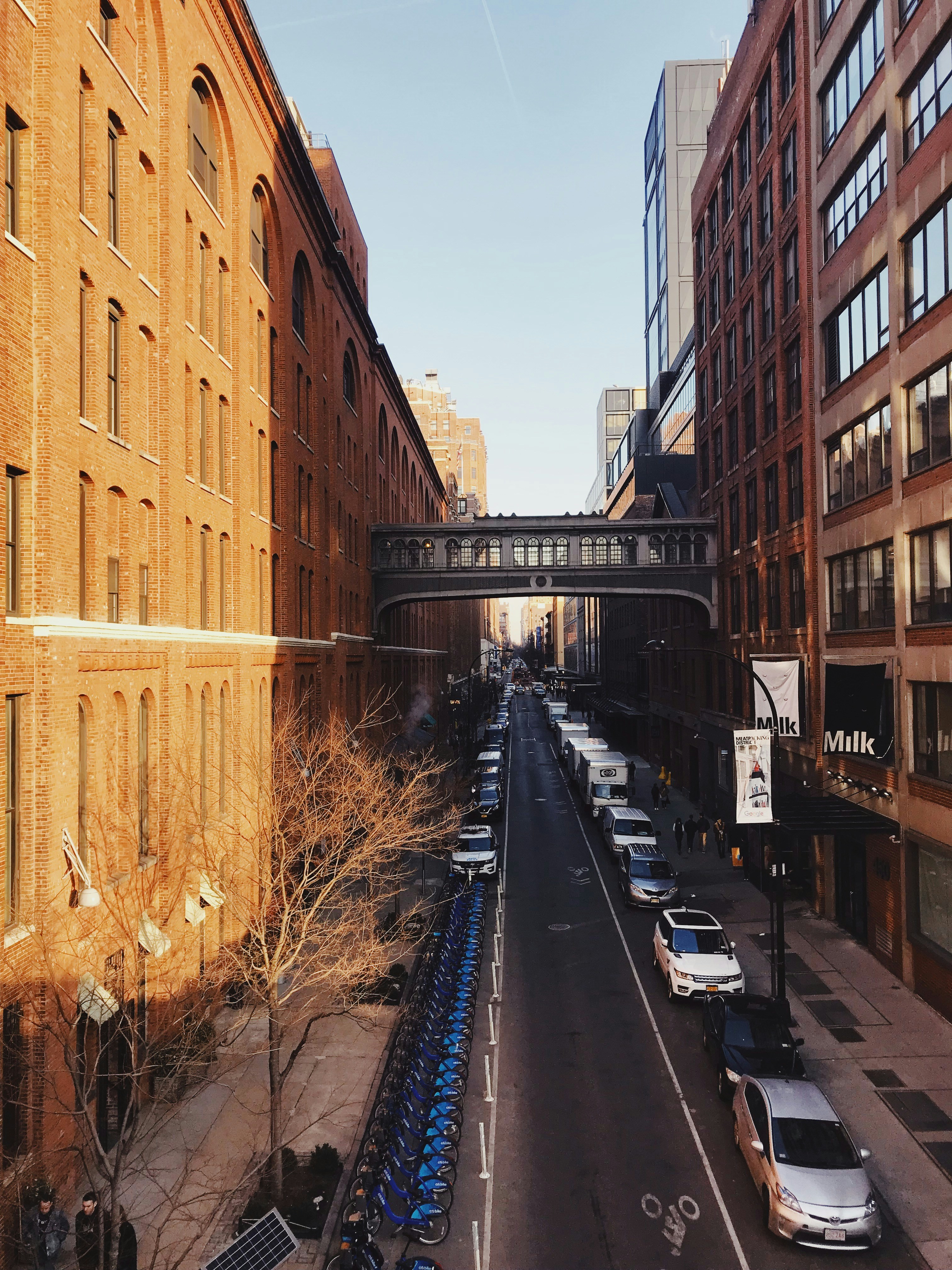 the high line