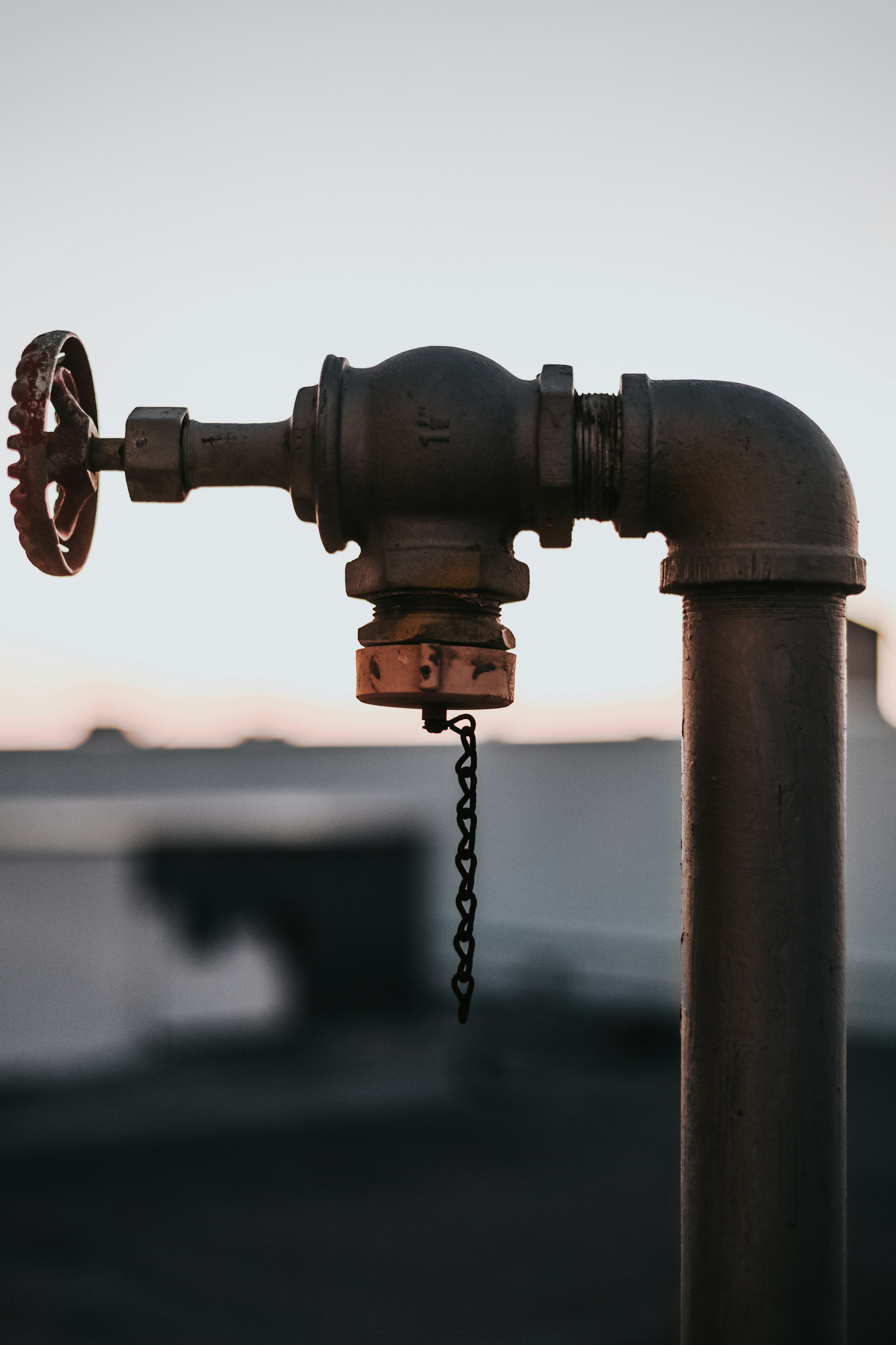 Photo by devintavery