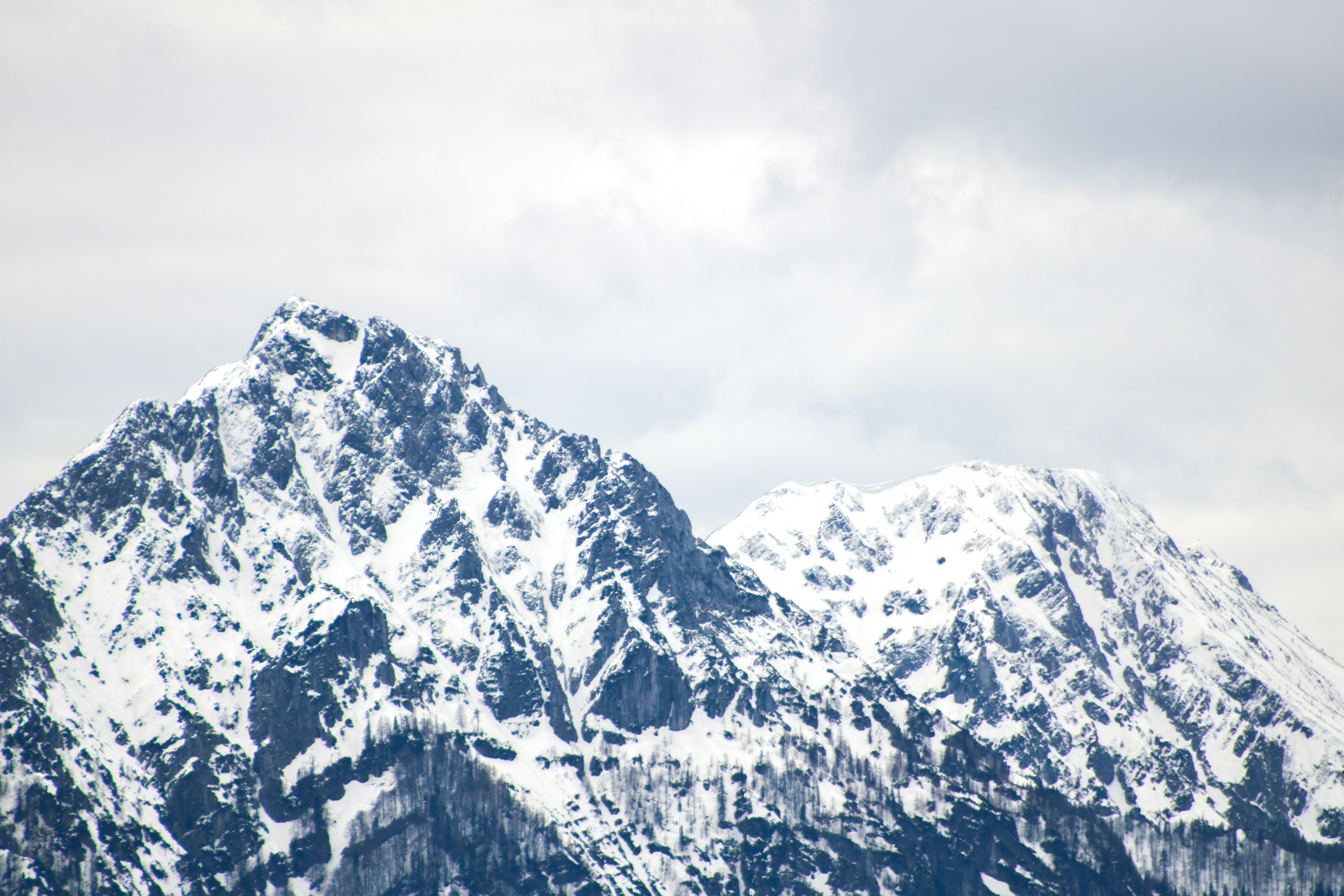 Photo by kovacsdanielakos