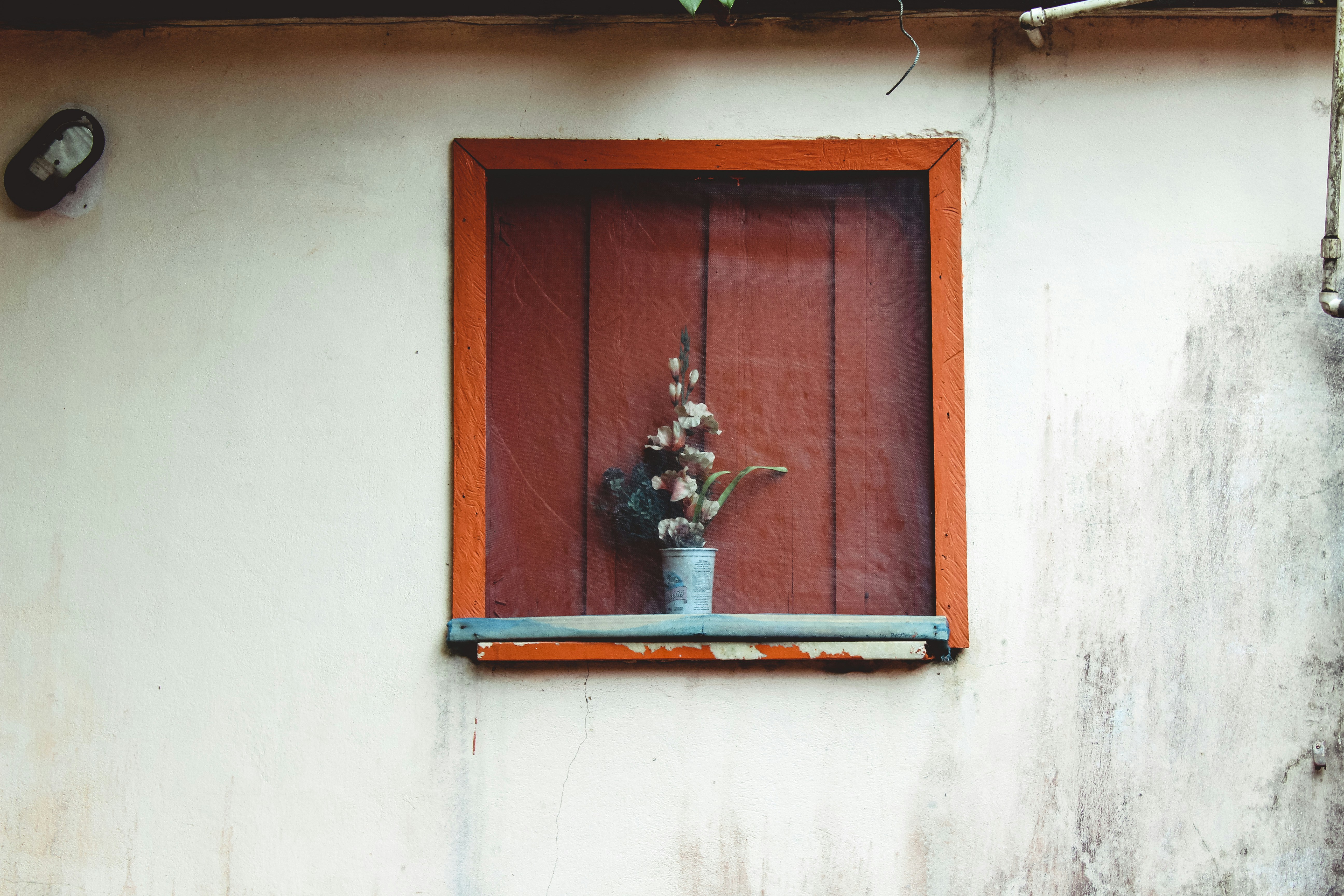 flowers in pot on window at daytime, 